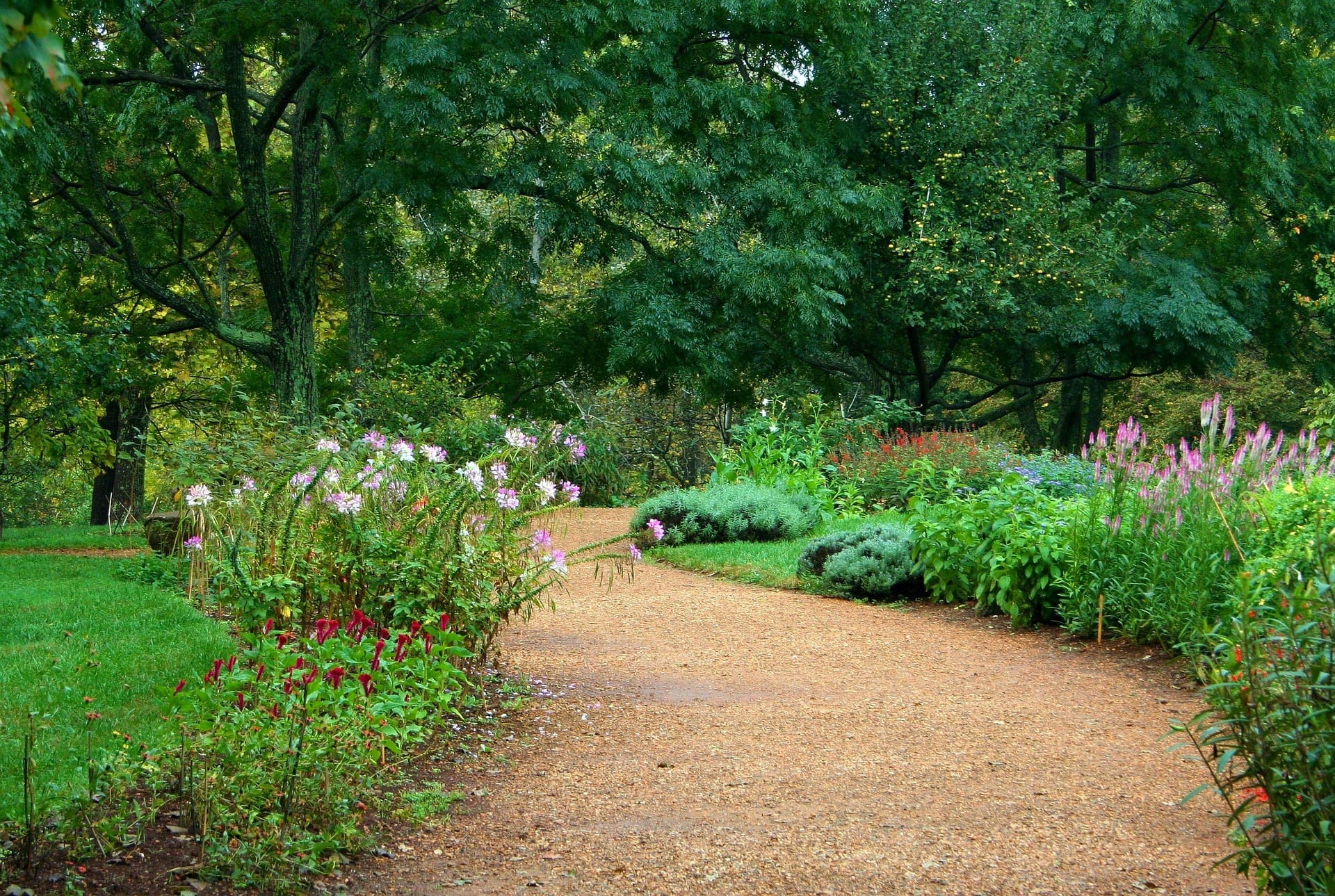 Outdoor lighting along garden path